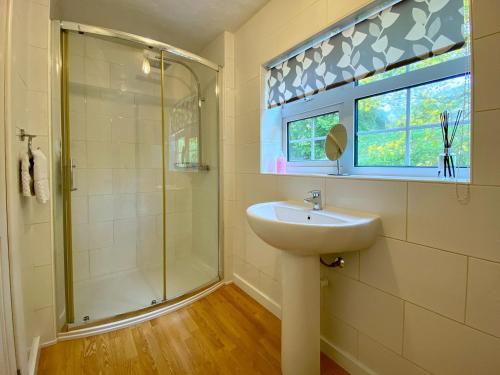 a bathroom with a sink and a shower at Dabinett in Ledbury
