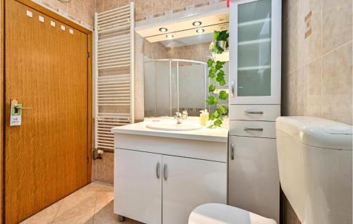 a bathroom with a white sink and a toilet at Lovely Home In Senkovec With Sauna in Slakovec