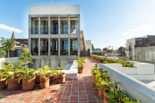 a building with potted plants on a roof at Loft con Terraza privada, vista al Expiatorio in Guadalajara