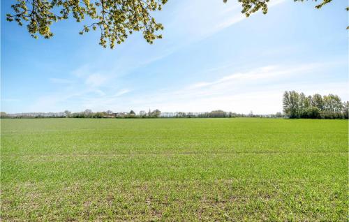 a large field of green grass with trees in the background at Pet Friendly Apartment In Strynø in Rudkøbing