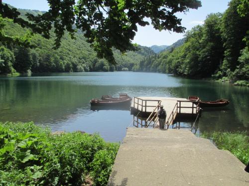 a dock with two chairs and a boat on a lake at Holiday home BOŽUR in Kolašin