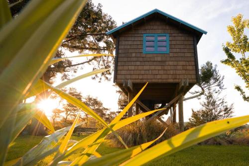 a tree house with a blue window in a field at Tui Ridge Eco Cabins in Aongatete