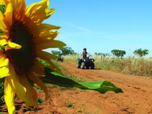 a person riding a quad bike on a dirt road next to a sunflower at Vila Gale Alentejo Vineyard - Clube de Campo in Albernoa