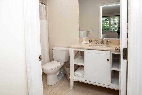 a bathroom with a toilet and a sink and a mirror at Three Village Inn in Stony Brook