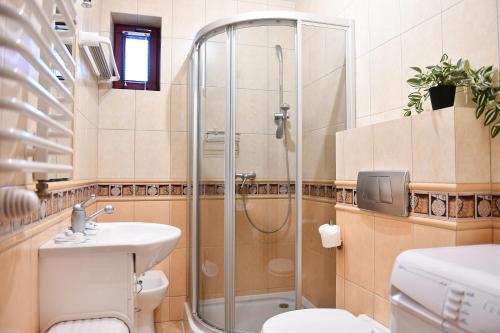 a bathroom with a shower and a toilet and a sink at Apartament Granit in Zakopane