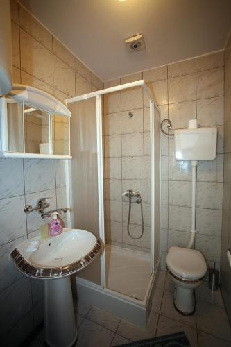 a bathroom with a shower and a sink and a toilet at Vila Vidikovac in Zlatibor