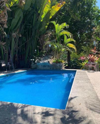 Casa Morpho Azul – Photos 2