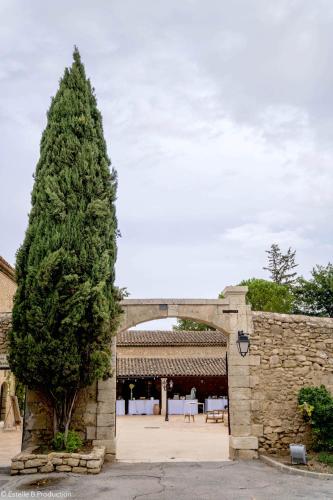 un grand pin devant un bâtiment dans l'établissement Domaine de la Reynaude, à Aurons