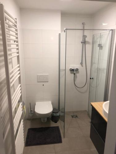 uma casa de banho com um chuveiro, um WC e um lavatório. em Ahorn 4 em Gröbming