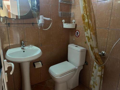 a small bathroom with a toilet and a sink at Rexhos Studios in Himare