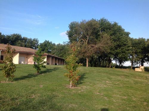 a large yard with two trees in the grass at Meublés de Margastau in Dieupentale