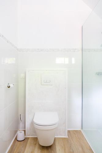 a white bathroom with a toilet and a shower at Le Moulin de Dannemarie in Dannemarie