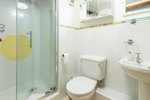 uma casa de banho com um WC, um chuveiro e um lavatório. em The Chaff House - farm stay apartment set within 135 acres em Bromyard