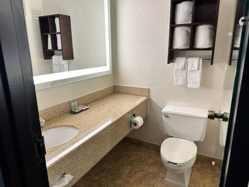 a bathroom with a toilet and a sink and a mirror at Alexis Hotel & Banquets Dallas Park Central Galleria in Dallas