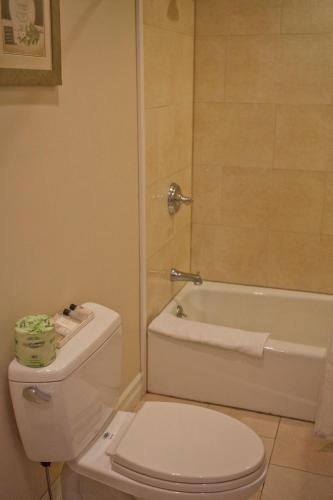 a bathroom with a toilet and a shower and a tub at Three Village Inn in Stony Brook