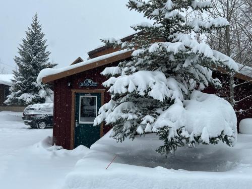 a snow covered tree in front of a cabin at Faithful Street Inn in West Yellowstone
