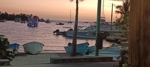 a group of boats are docked on the water at Venere Bayahibe by Mireya in Bayahibe