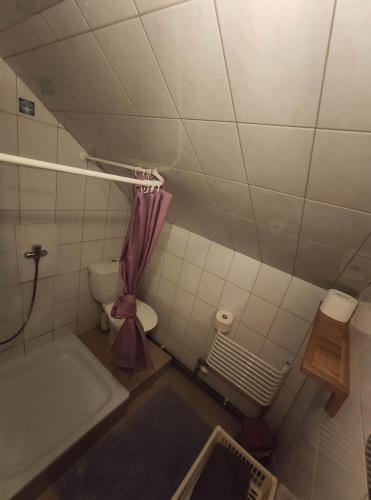 a bathroom with a tub and a toilet and a sink at Western Tatras Slovakia in Oravský Biely Potok
