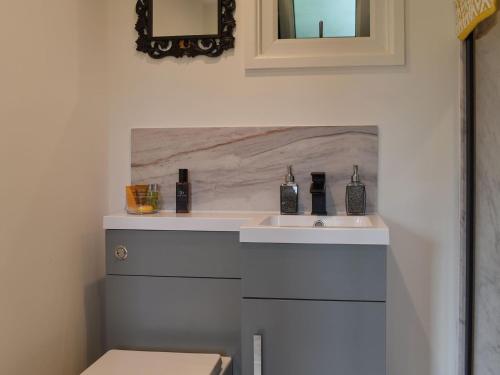 een badkamer met een wastafel en een spiegel bij Honeypot Lodge in Ashwater