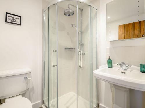 a bathroom with a shower and a toilet and a sink at The Hayloft - Uk40092 in Bryngwyn