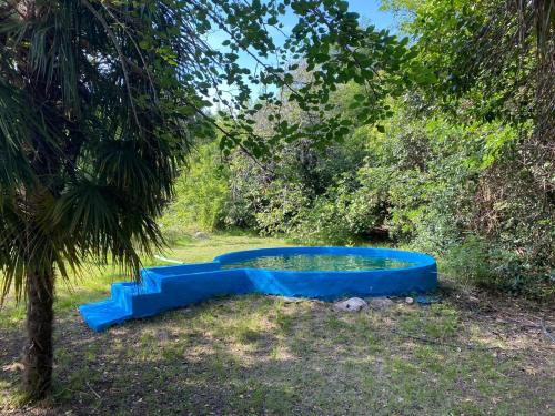 a blue tub sitting in the grass under a tree at Chalet de montaña cerca de Nono in Las Rabonas