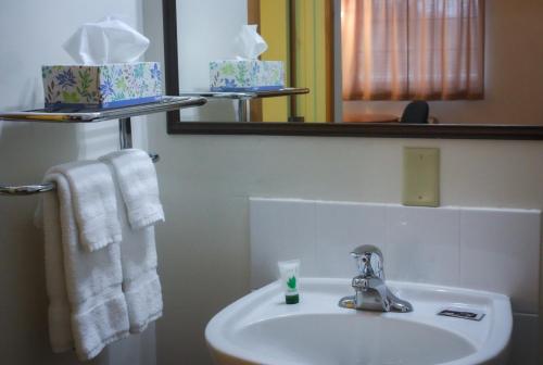 La salle de bains est pourvue d'un lavabo, d'un miroir et de serviettes. dans l'établissement Mountain Creek Tavern, 