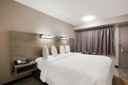 Postel nebo postele na pokoji v ubytování Red Roof Inn PLUS+ Chicago - Naperville