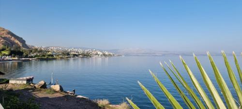 a view of a body of water with a palm tree at Sea Of Galilee 118 in Tiberias