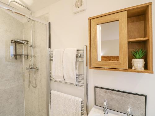 La salle de bains est pourvue d'une douche, d'un lavabo et d'un miroir. dans l'établissement Bluebell, à Swadlincote