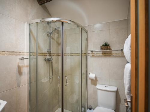 a bathroom with a glass shower with a toilet at Pentre Cottage in Meifod