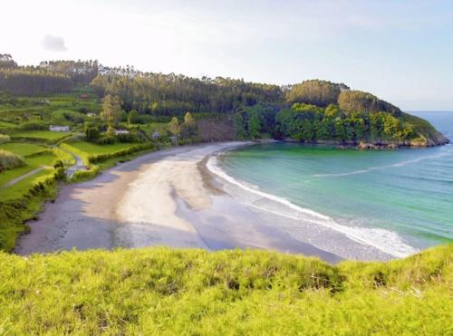 una vista aérea de una playa con árboles y el océano en Acogedor piso en Cariño, en Cariño