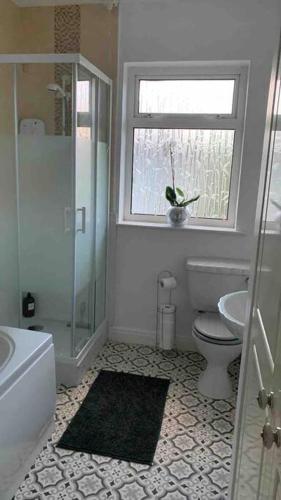a bathroom with a toilet and a sink and a window at Bumblebee Cottage in Dunkineely