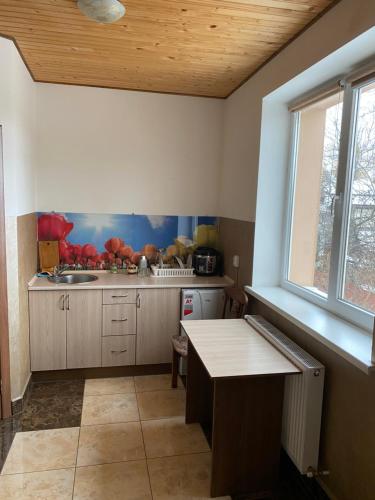 a kitchen with a counter and a sink in it at Домашній Затишок in Stryi