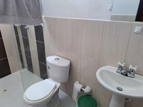 a bathroom with a toilet and a sink at CASA CAMPESTRE LA ESMERALDA in Melgar