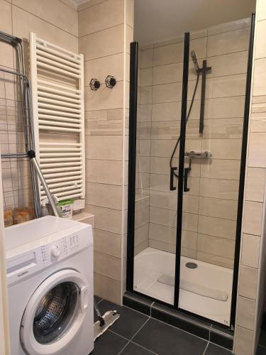 une salle de bain avec douche et machine à laver dans l'établissement Le colibri, à Dinard