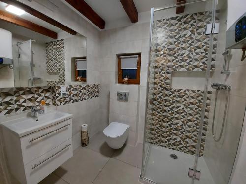 La salle de bains est pourvue d'une douche, de toilettes et d'un lavabo. dans l'établissement Domek u Beti, à Wąglikowice