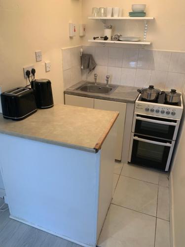 uma cozinha com um balcão, um fogão e um lavatório em One Bedroom Apartment Dublin em Dublin