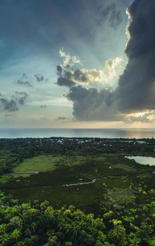an aerial view of a field with trees and water at Isle Royal Inn in Fuvahmulah