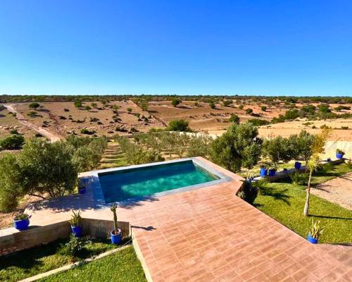 una piscina in mezzo a un campo di Villa Zitouna a Essaouira