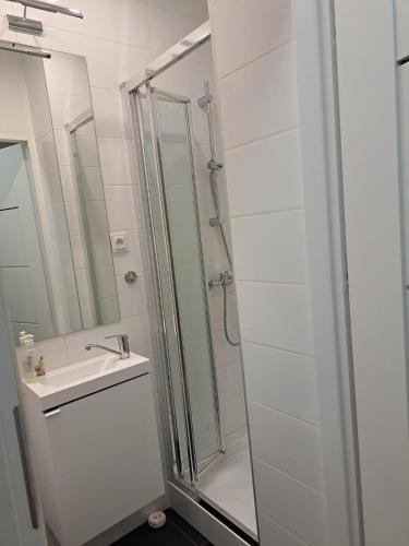 a bathroom with a shower and a sink at Willa Dniestrzanka in Krynica Zdrój