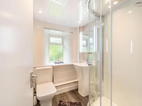 a bathroom with a toilet and a sink and a shower at Cherry Tree Cottage in Burtree Ford