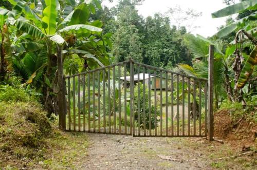 Casa Congo – Photos 5