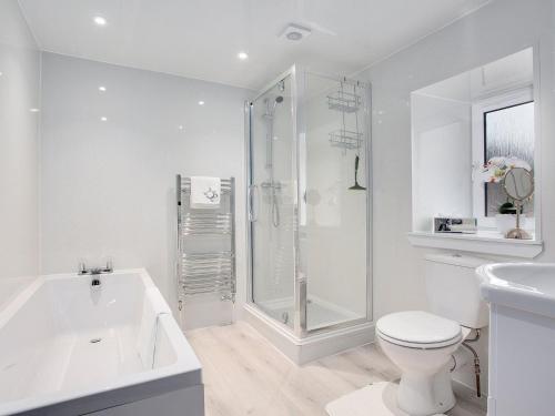 a white bathroom with a shower and a toilet at Fieldview - Uk40947 in Auchtermuchty