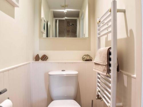W łazience znajduje się biała toaleta i lustro. w obiekcie Greenbank w mieście Veryan
