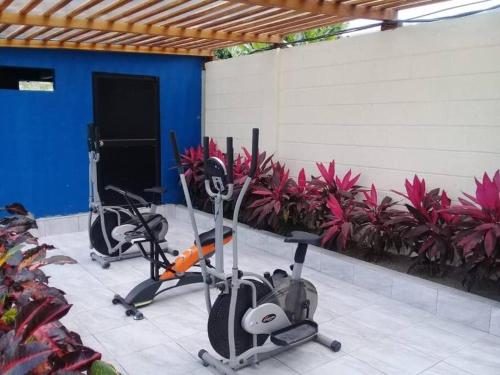 um grupo de bicicletas de exercício numa sala com plantas em Departamento Familiar y bien cuidado. Wifi, piscina y jacuzzi em Tonsupa