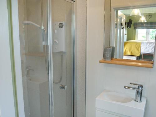 a bathroom with a shower and a sink and a mirror at The Wool Shed in Saint Ewe