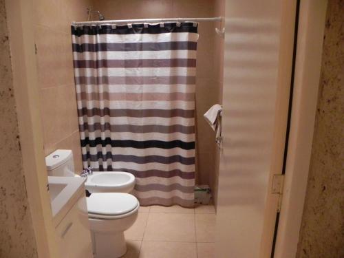 y baño con aseo y cortina de ducha. en Apartamiento acogedor y familiar cerca Del Río en Tunuyán
