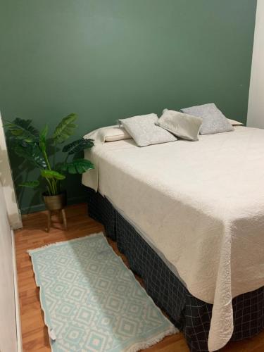 - une chambre avec un lit doté d'un tapis et d'une plante dans l'établissement Casa acogedora y cerca de la playa, à Dichato