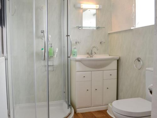 a bathroom with a shower and a sink and a toilet at Bryn Boda in Nantglyn