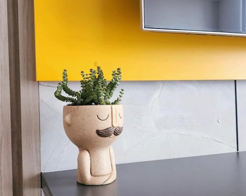 a plant in a vase sitting on a table at Depa acogedor en el corazón de la ciudad in Lima